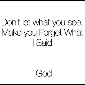 Meet your Posher, Lacy